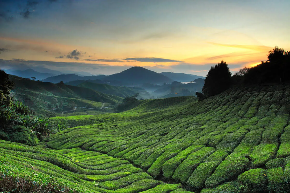 Malaysia – Langkawi – Singapore Trip | 16 Days